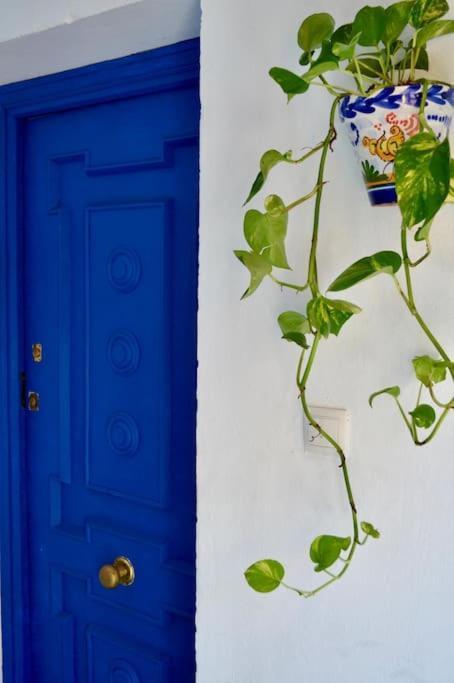 Apartamento En Sevilla Centro Con Vistas A La Plaza Alameda De Hercules - Hasta 6 Personas Eksteriør bilde
